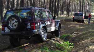 Gro�e Fl�ming Tour - Jeep im Wald