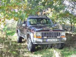 Gro�e Fl�ming Tour - Jeep im stark bewachsenen Weg